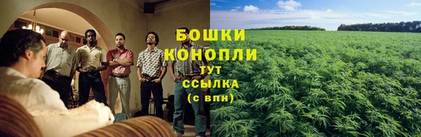 трава Каменногорск