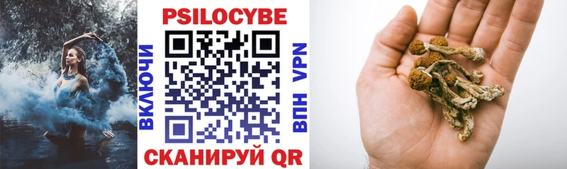 Купить закладки  Кузнецк  Галлюциногенные грибы GOLDEN TEACHER 