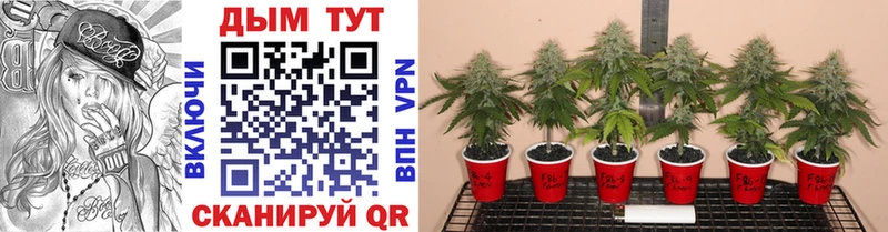 Шишки марихуана LSD WEED Кузнецк